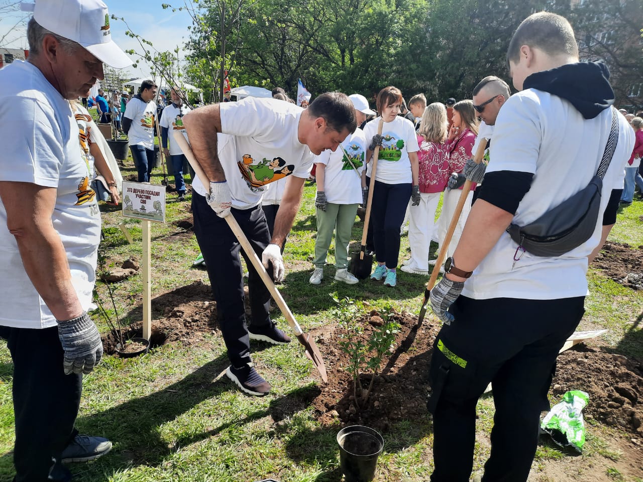 В городском округе Люберцы стартовала акция «Лес Победы» | 13.05.2023 |  Люберцы - БезФормата